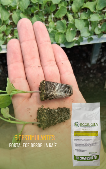 Bioestimulantes